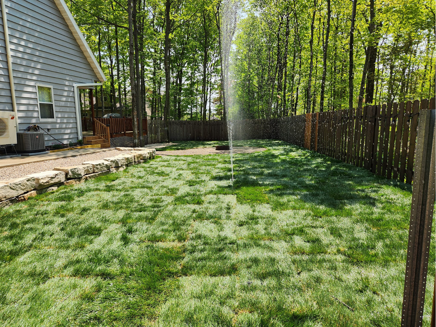 Lawn sprinkler watering a green yard bordered by a wooden fence and trees, next to a gray house.