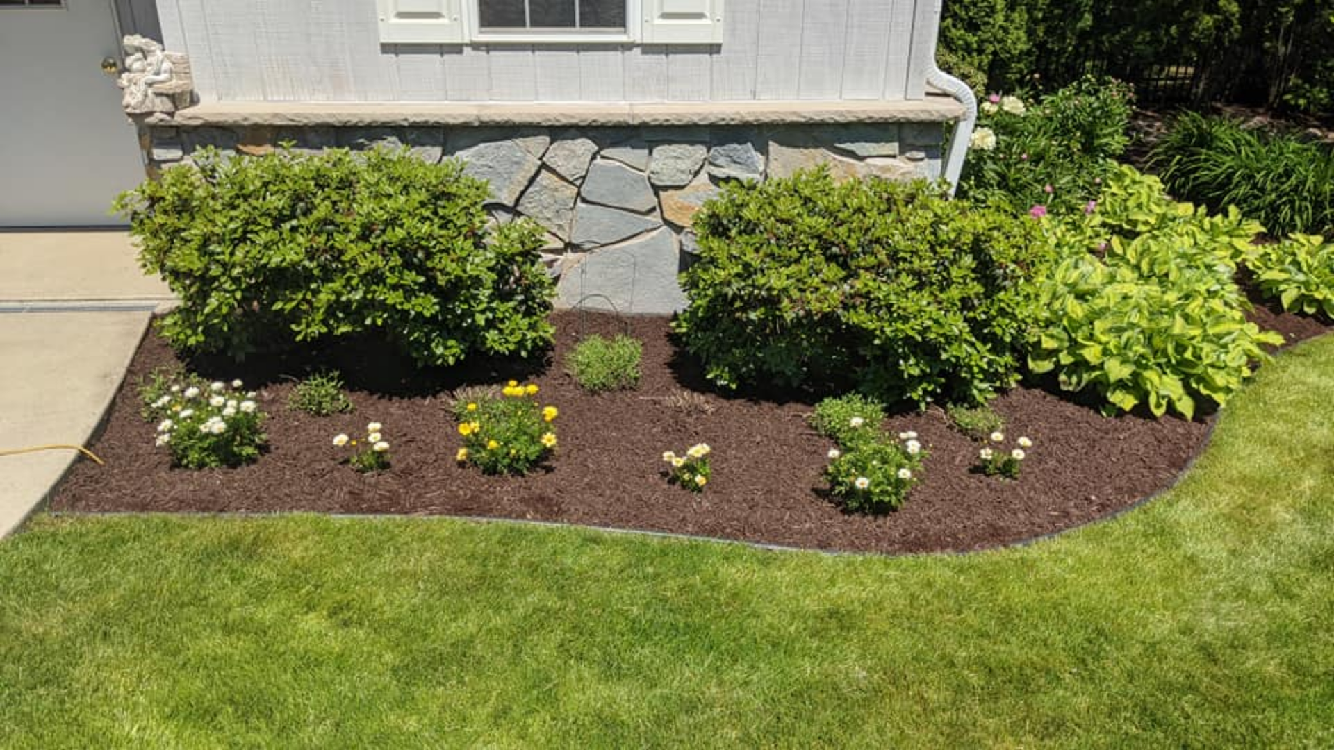 A garden bed with bushes, flowers, and dark mulch borders a green lawn.