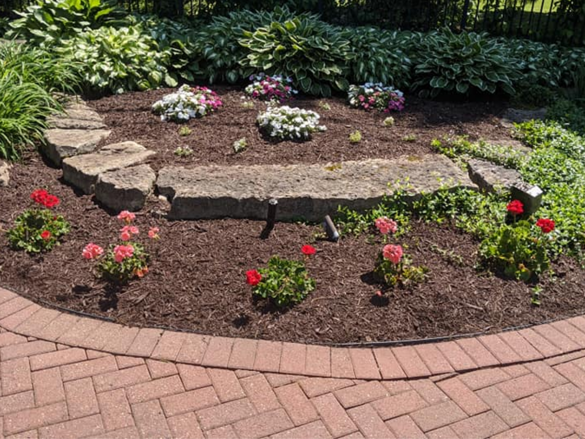 Flower bed with red geraniums, mulch, and stone edging; surrounded by a brick patio and greenery.