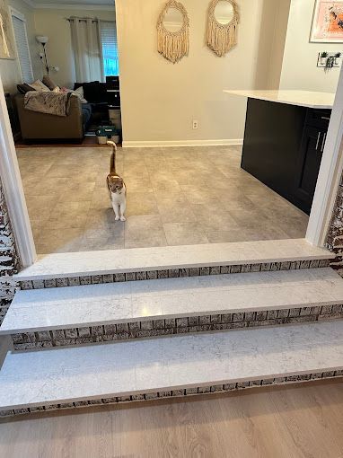 A cat is standing on a set of stairs in a living room.