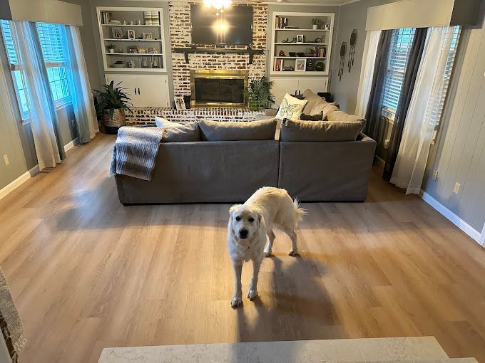 A dog is standing in a living room next to a couch and fireplace.