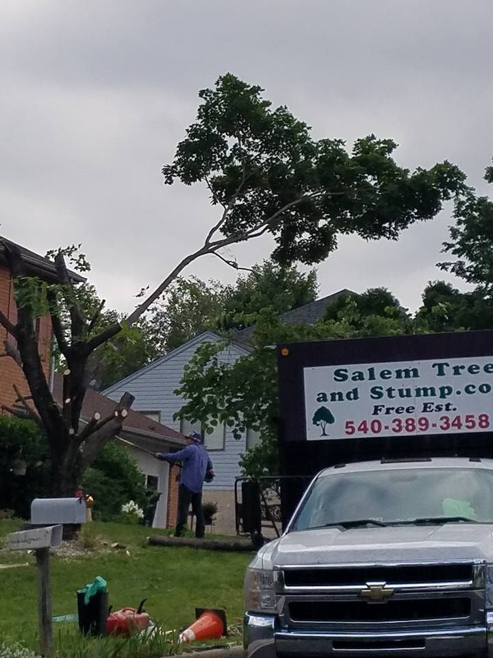 White Car — Roanoke, VA — Salem Tree & Stump