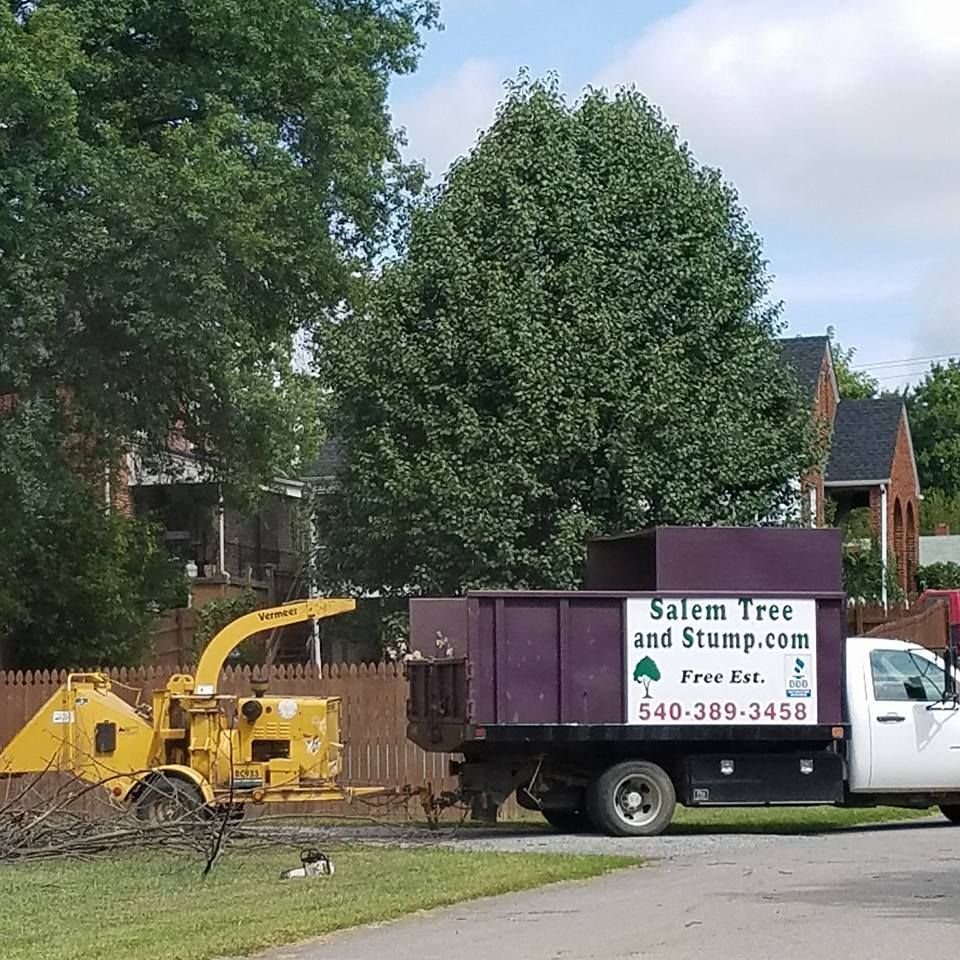 Two Vehicle — Roanoke, VA — Salem Tree & Stump