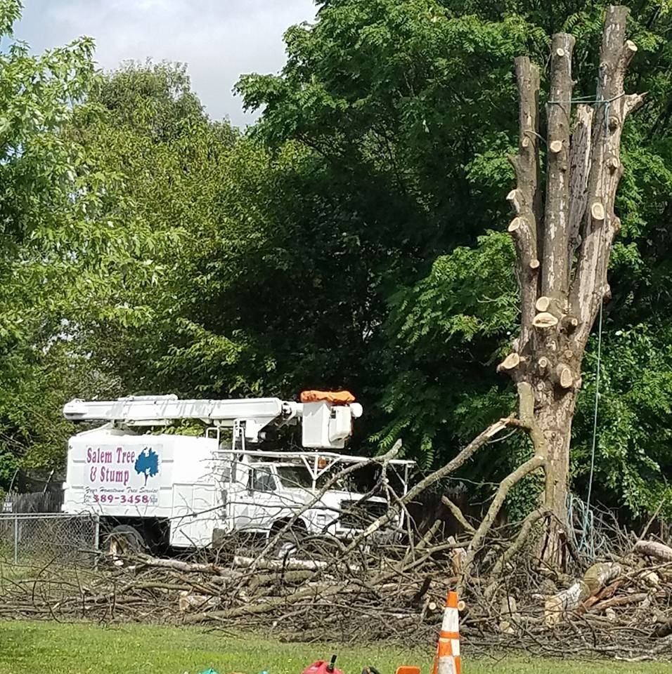 White Truck — Roanoke, VA — Salem Tree & Stump