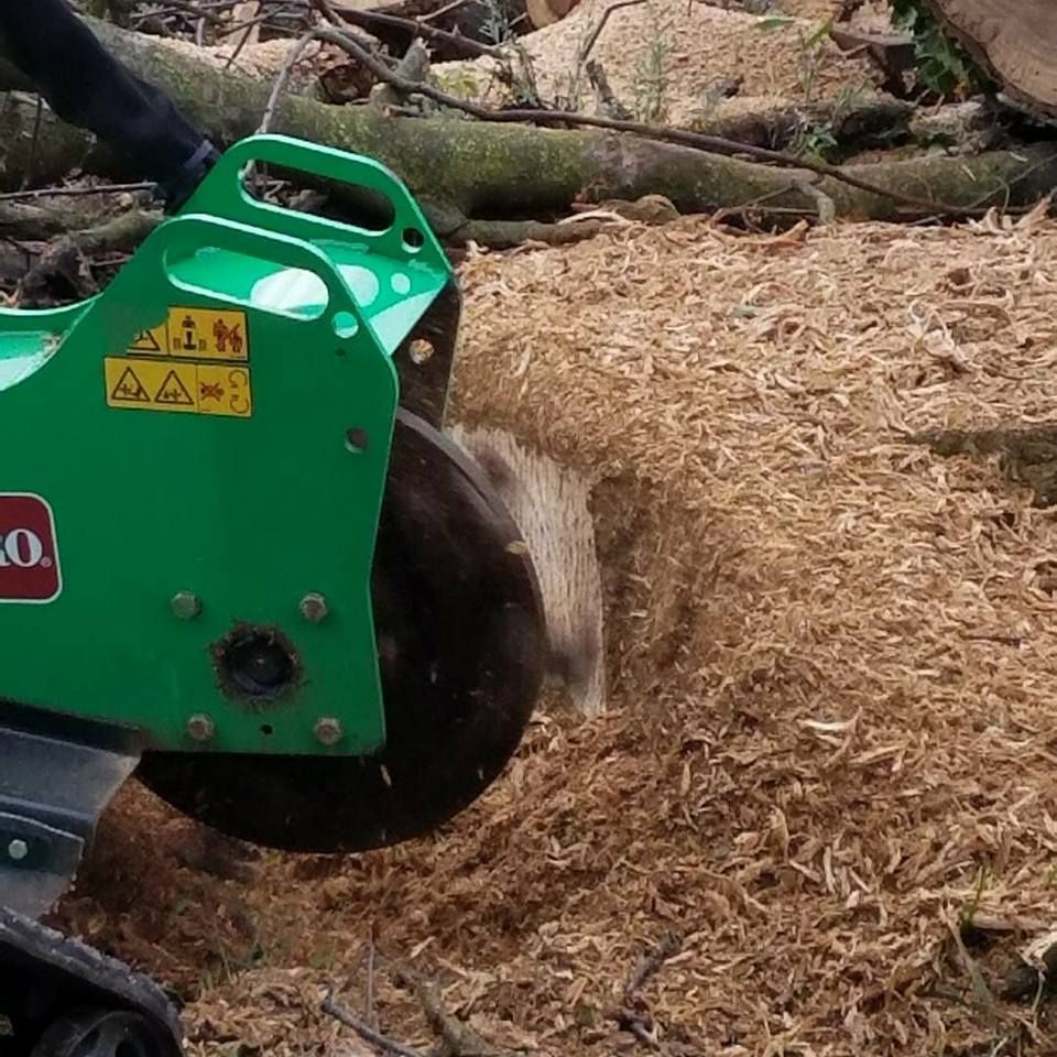 Stump Grinding — Roanoke, VA — Salem Tree & Stump