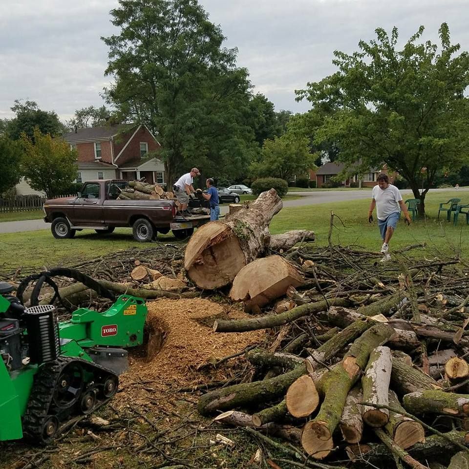 Men Working — Roanoke, VA — Salem Tree & Stump