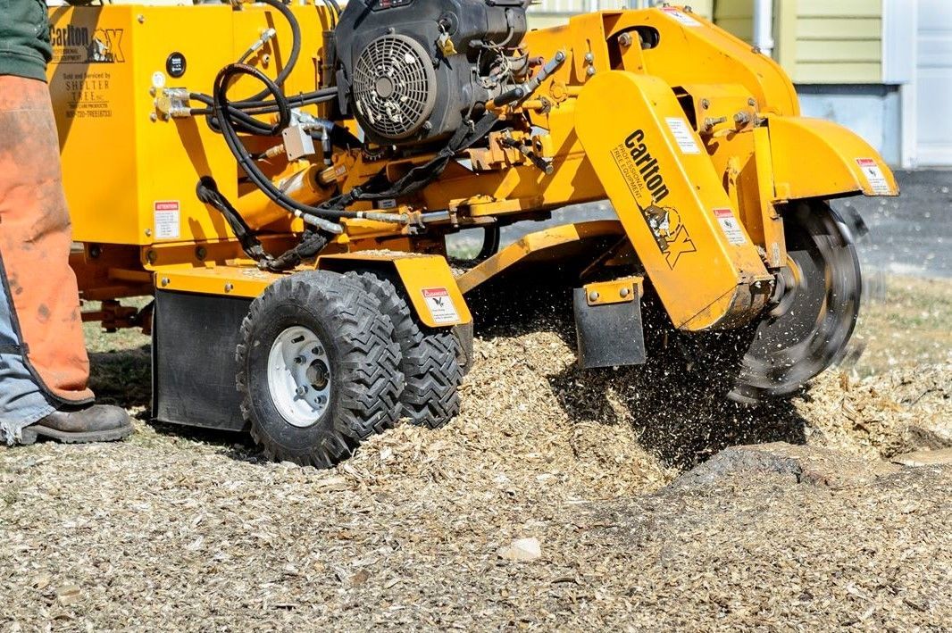 Tree Stump Grinding — Roanoke, VA — Salem Tree & Stump