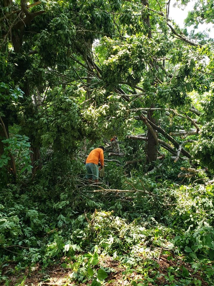 After Tree Removal #3 — Roanoke, VA — Salem Tree & Stump