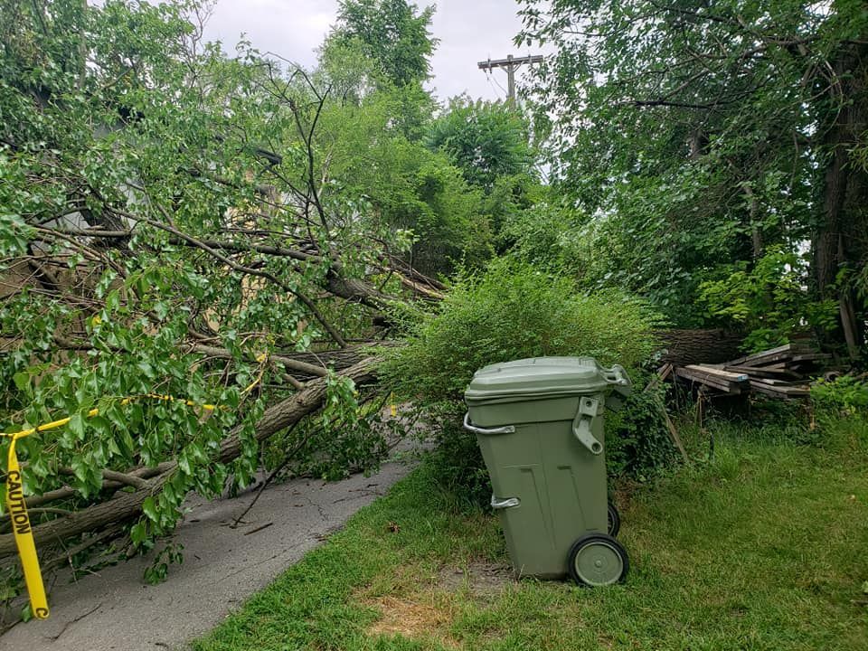Storm Damaged Trees — Roanoke, VA — Salem Tree & Stump