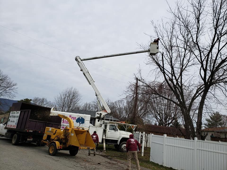 Crane Service — Roanoke, VA — Salem Tree & Stump