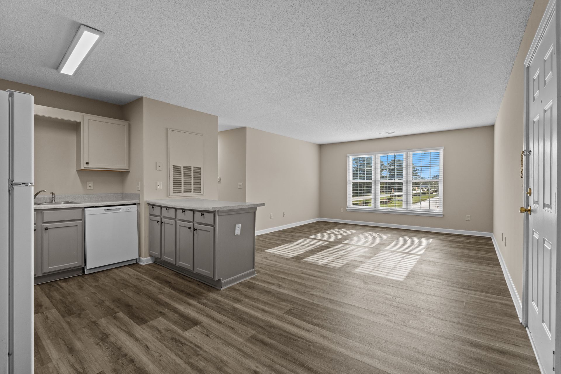 Open-concept living space with kitchen, gray cabinetry, and wooden flooring. Natural light streams from window.