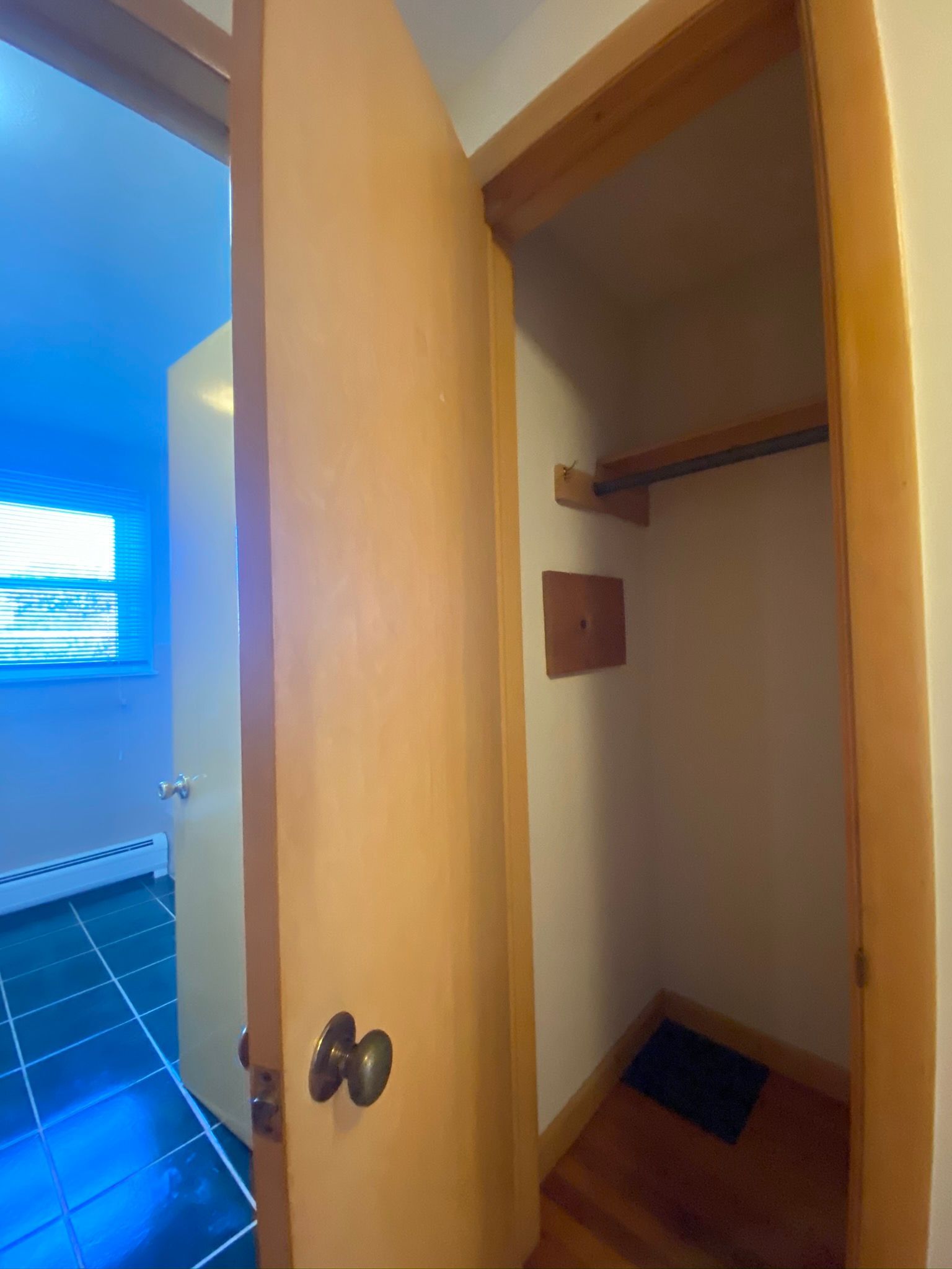 A closet with a door open and a picture on the wall