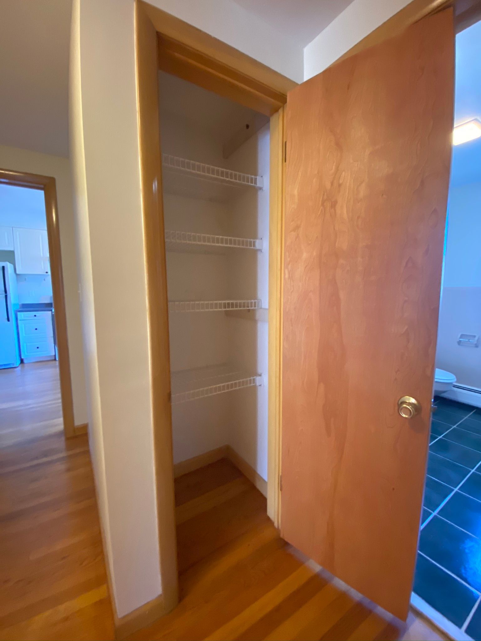 A pantry with shelves and a wooden door in a hallway.