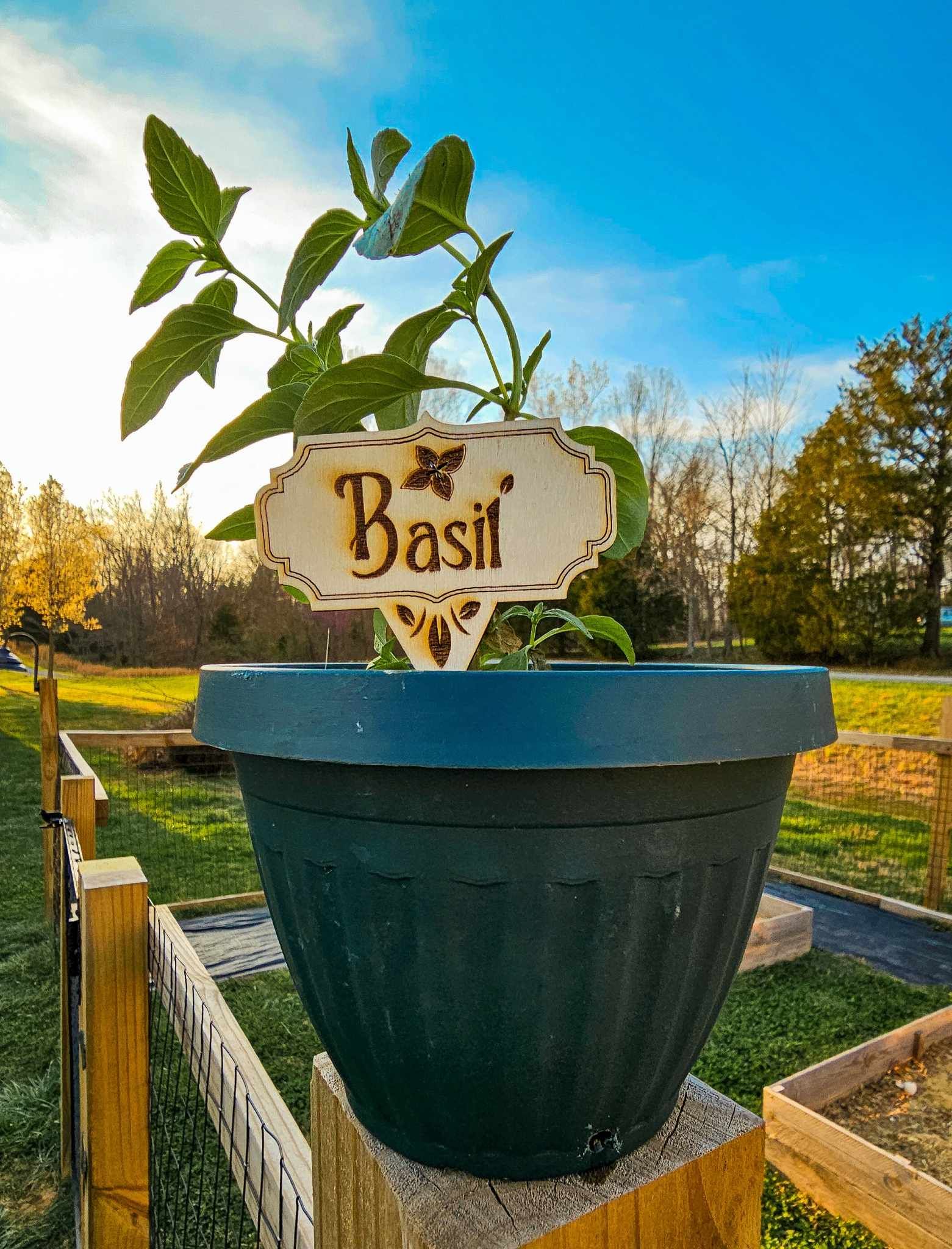 Herb Garden Label Marker