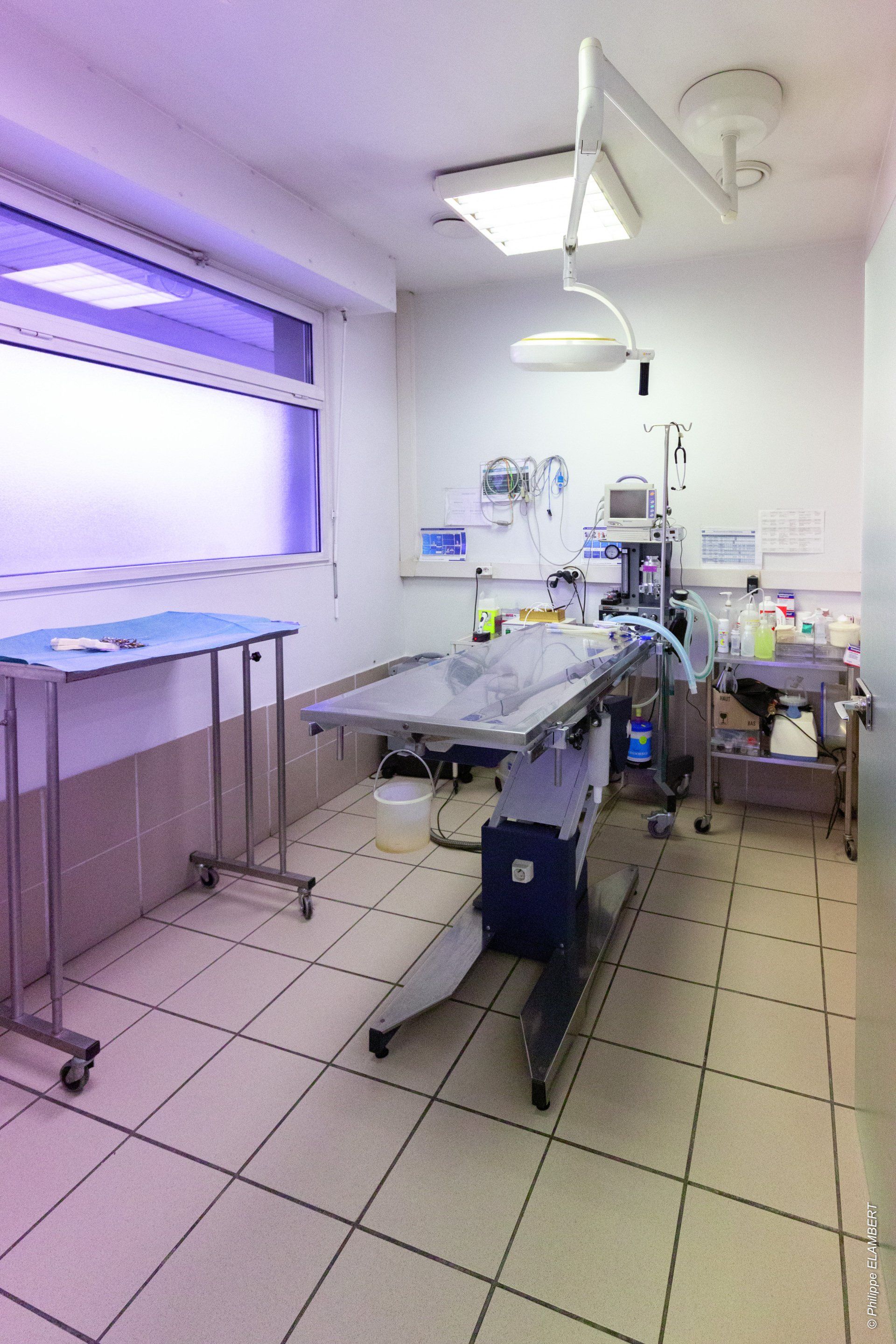 Bloc chirurgicale de la clinique vétérinaire Amimo à Melun