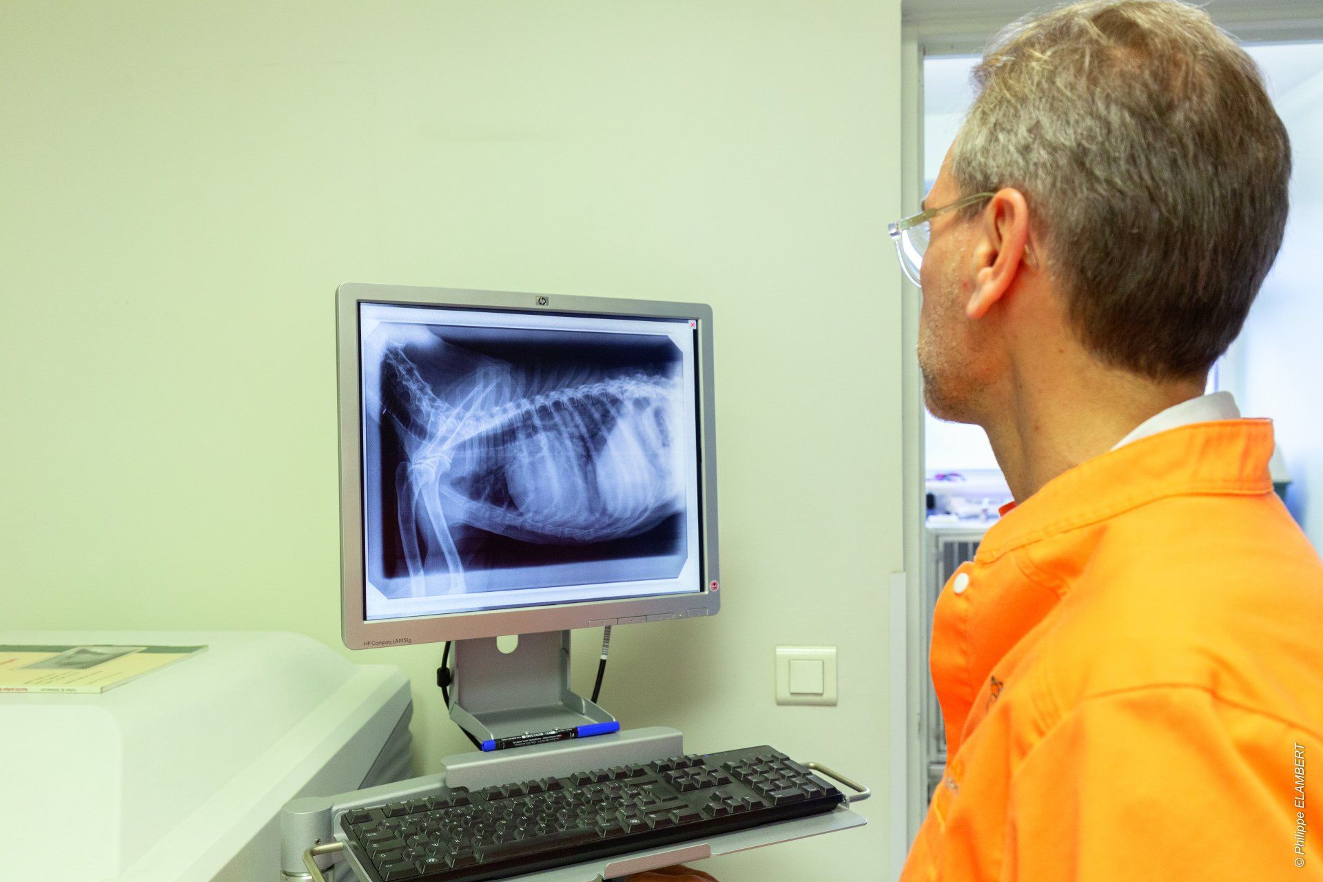 Imagerie Numérique de la clinique vétérinaire Amimo à Melun