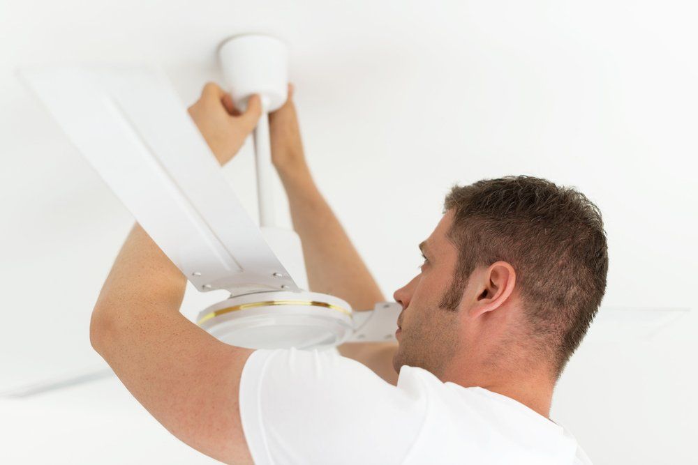Male Technician Installing Ceiling Fan — Servicing Homes & Businesses in Kiama