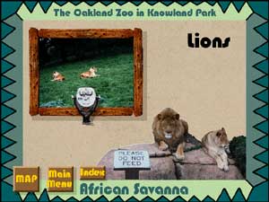 A Trip to the Oakland Zoo - CD ROM - Lions