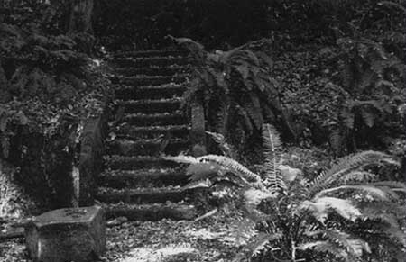 The Stair That Goes Nowhere Year: 1993© - CSStudio.tv
