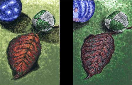 The Leaves - A Color Study  Year: 1994© - CSStudio.tv