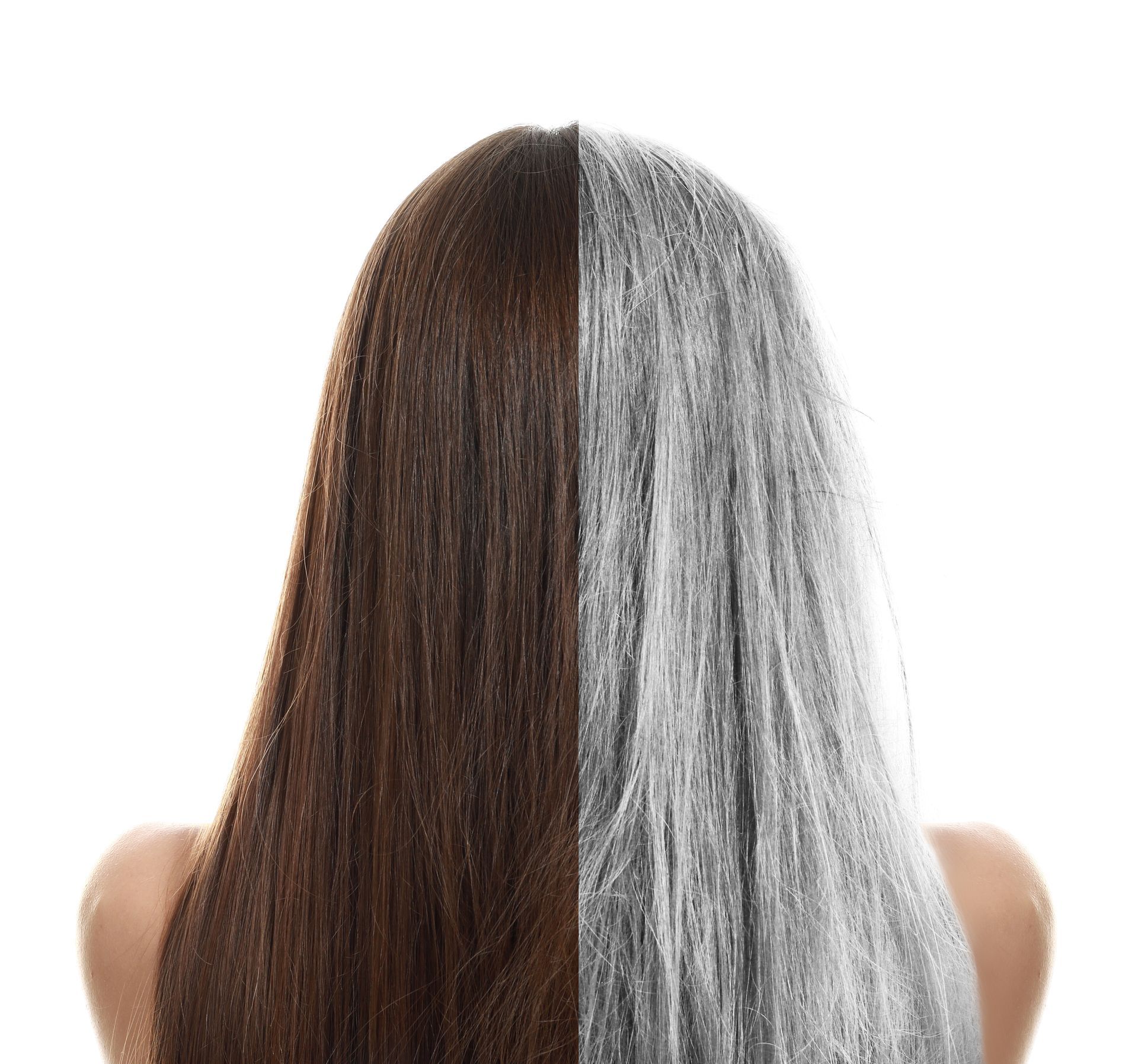 half brown half gray hair coverage in springfield mo