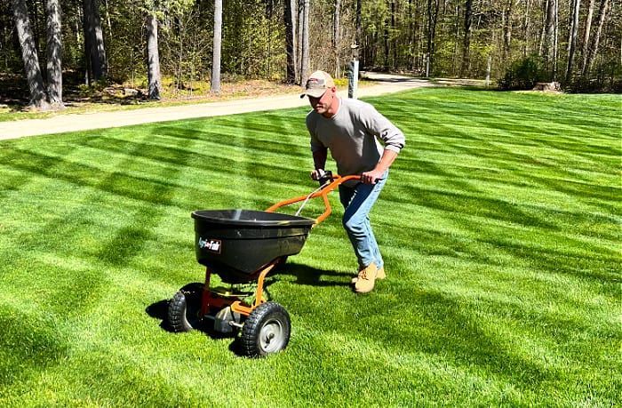 Person fertilizing a striped green lawn with a push spreader in a wooded yard