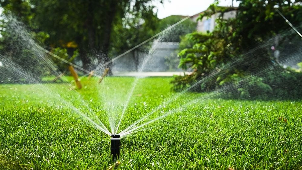 A lawn sprinkler spraying water over a lush green garden in the foreground with trees and shrubs behind.