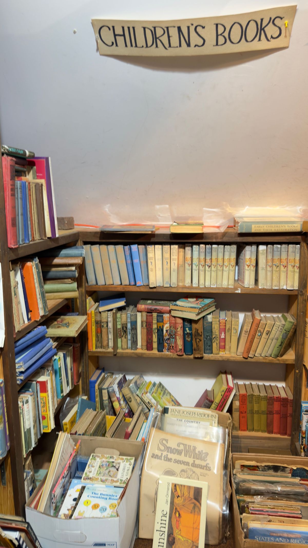 Children’s books shelf with colorful books in a cozy library nook
