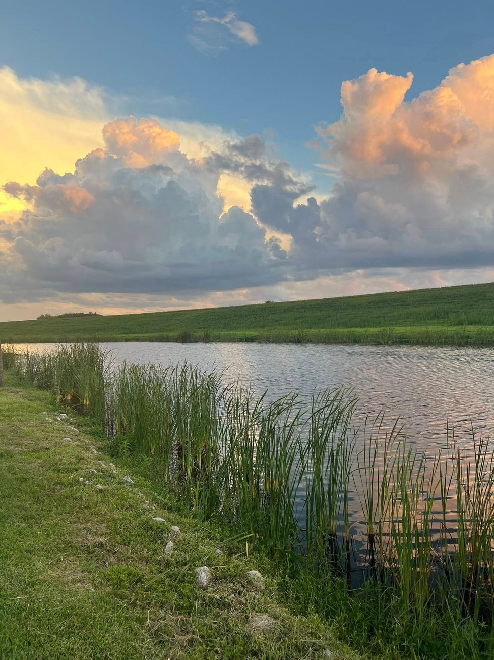 A calm river with reeds under a colorful sunset sky. Green grass and a distant treeline.