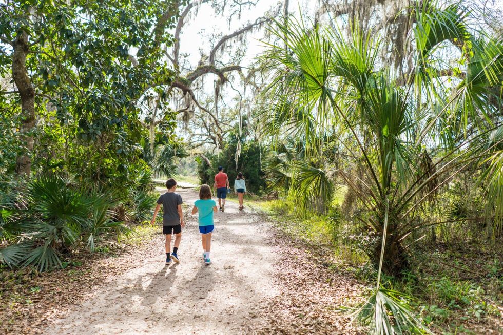 Family walking on a dirt trail through a lush, green forest.