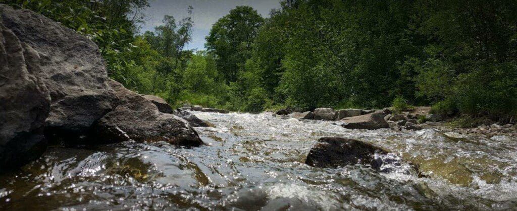 A river flowing through a forest with rocks and trees in the background.