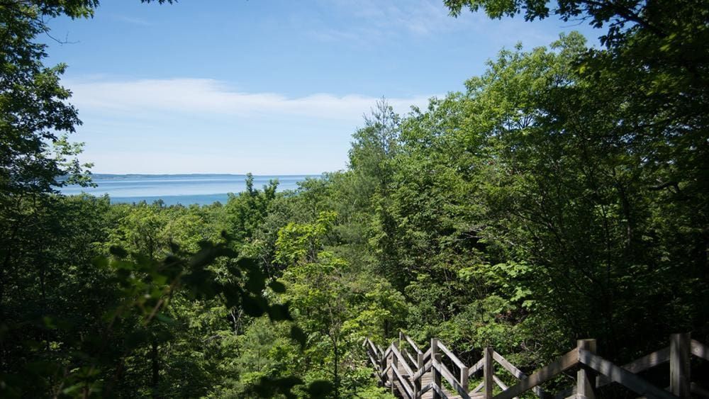 A wooden bridge in the middle of a forest overlooking a body of water.