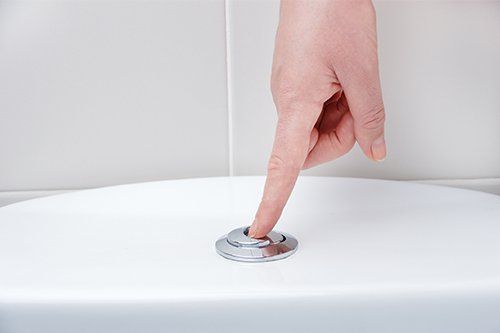 Pushing Toilet Bowl Flush Button