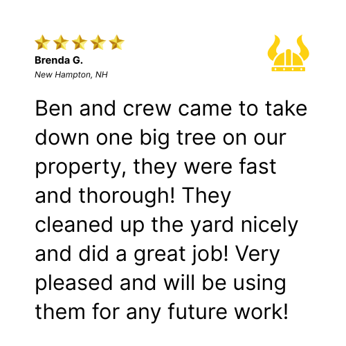 Customer review praising tree removal service; five-star rating.