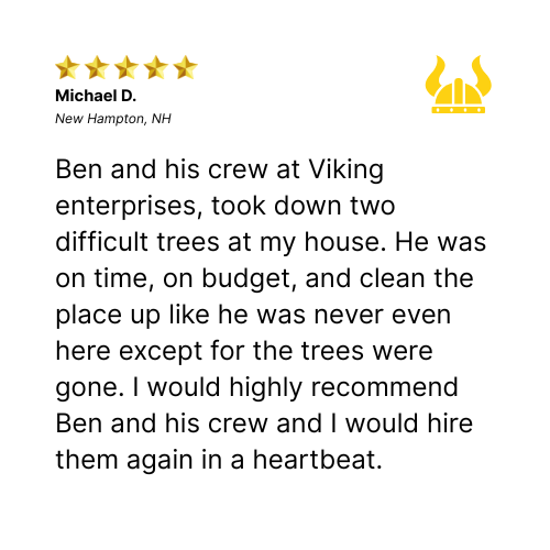 Customer review for Viking Enterprises: 5-star rating, positive testimonial, mentions tree removal service.
