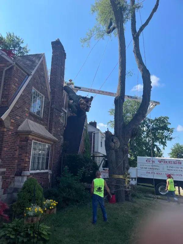 Tree removal in progress next to a brick house. Workers and a crane visible.
