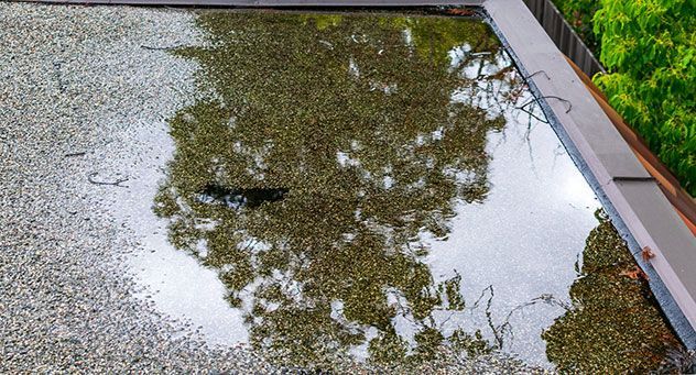 a puddle of water on a roof with trees reflected in it .