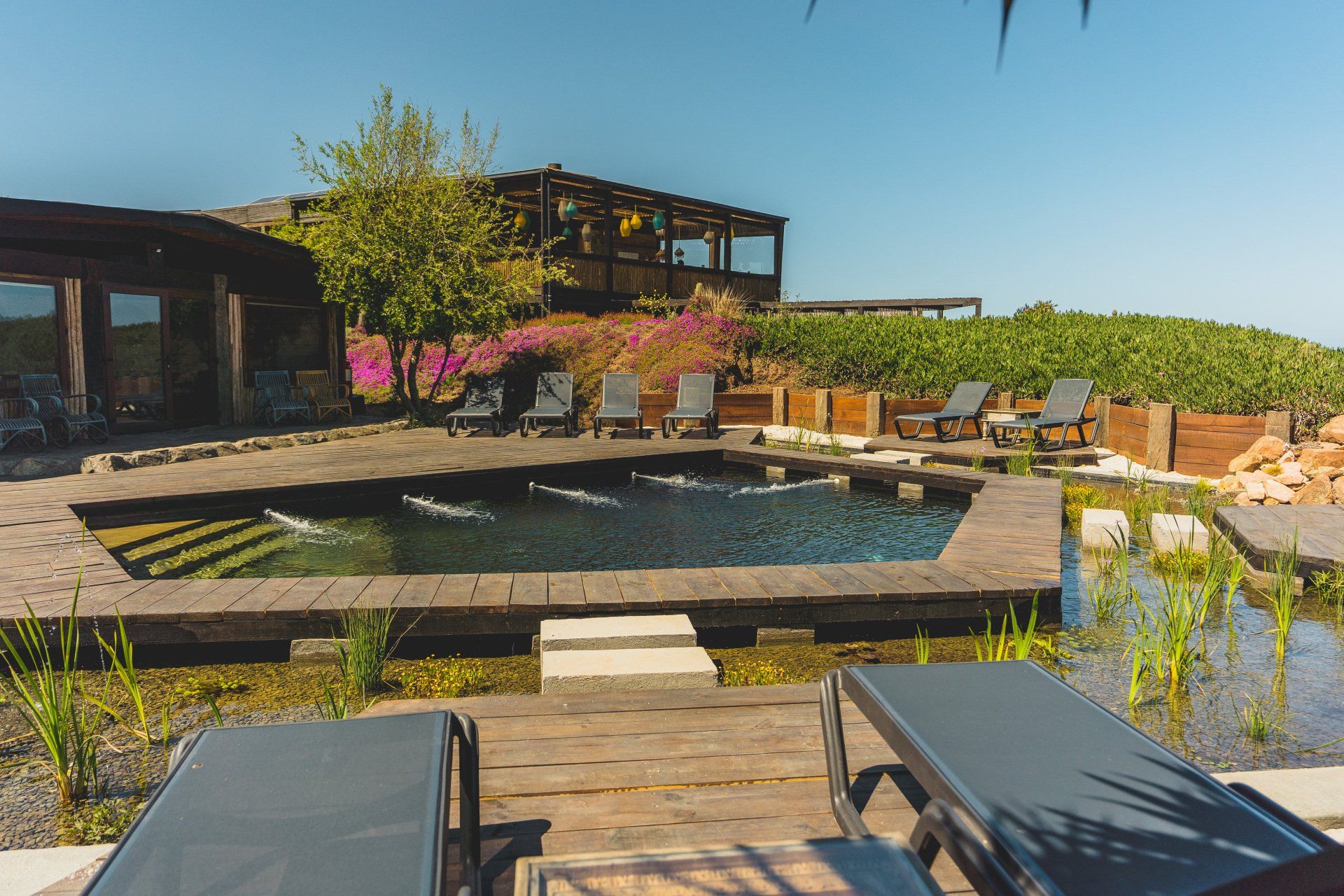 Swimming pool with lounge chairs, stone border, and wooden deck under a clear blue sky.