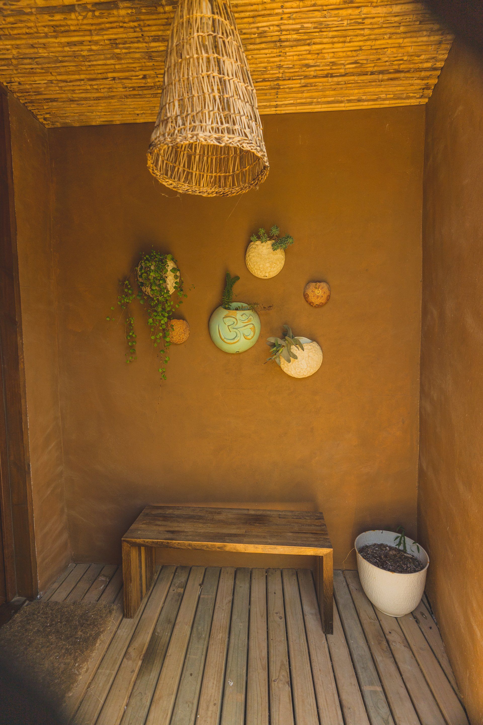 Rustic interior: Brown walls, wooden bench, hanging plants, woven light fixture, and potted plants on a wood floor.