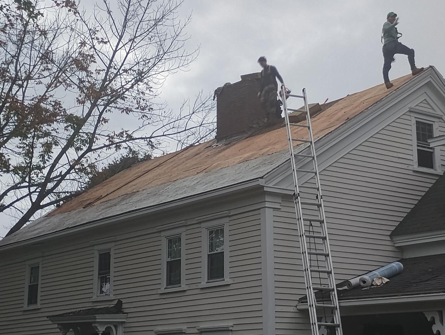 A gutter guard installed on a residential roof.