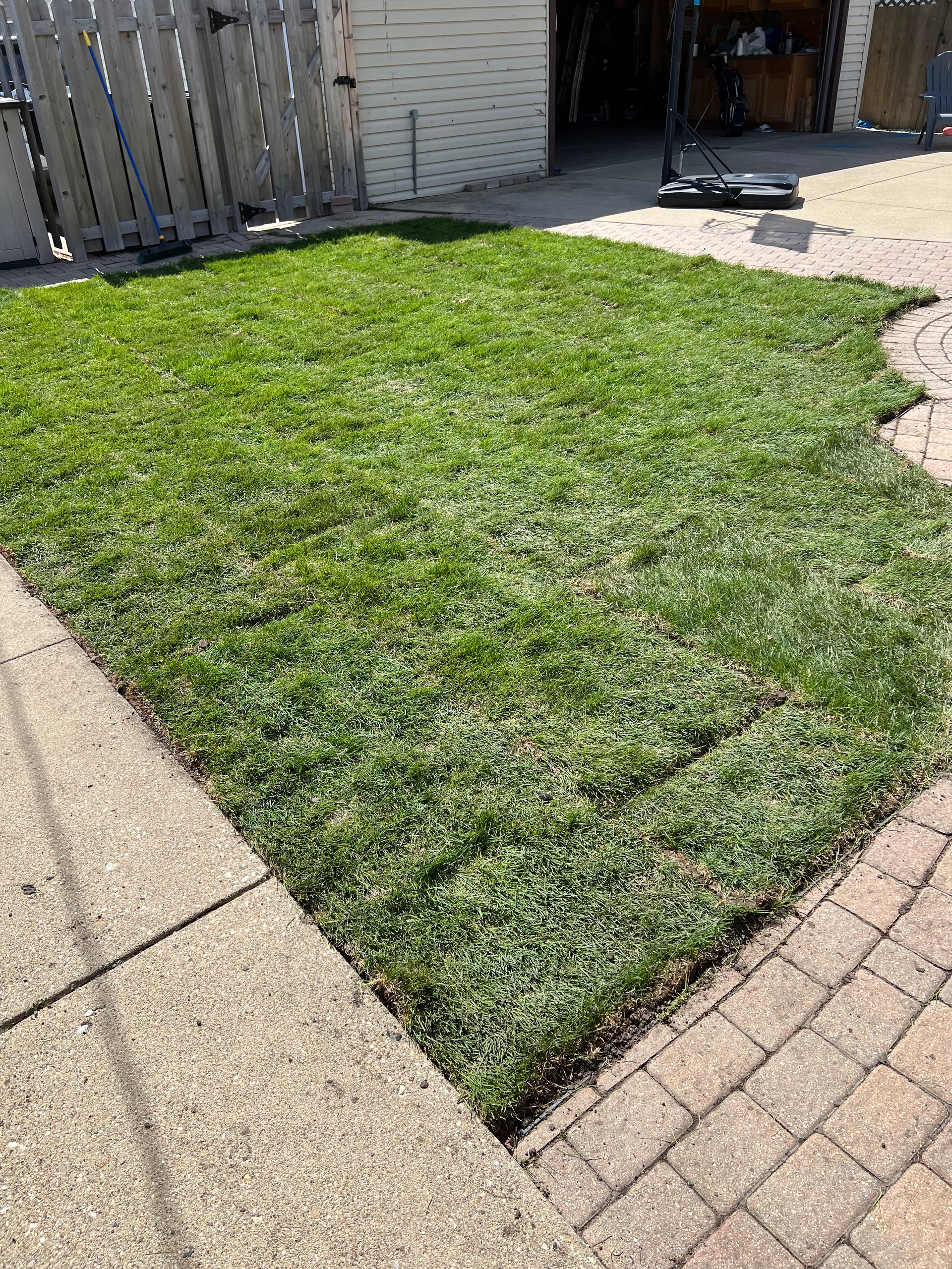 A large patch of green grass is sitting on top of a brick sidewalk.