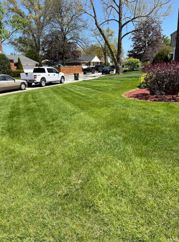 A lawn is being maintained in front of a house