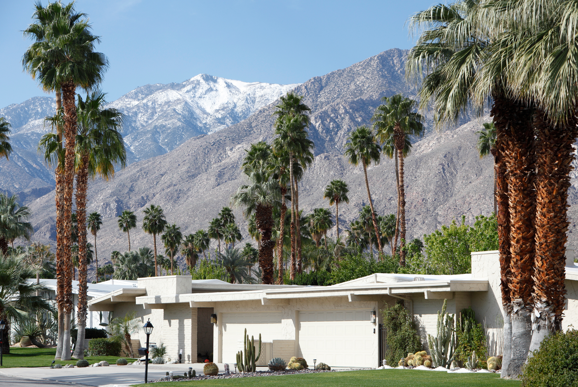 A mid-century modern ICF home with palm trees around | Branson MO