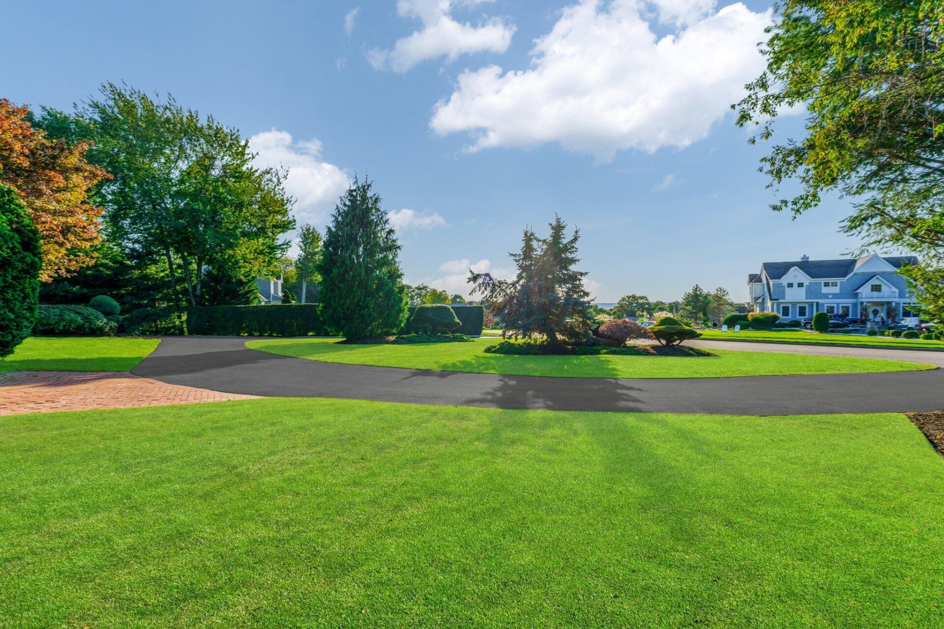 A lush green field with a driveway and houses in the background