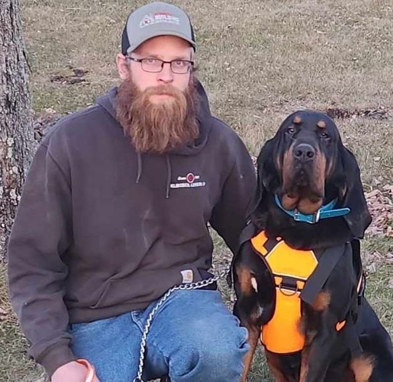 black and tan male bloodhound