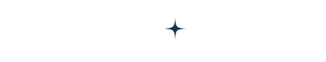 Small black four-pointed star on a white background