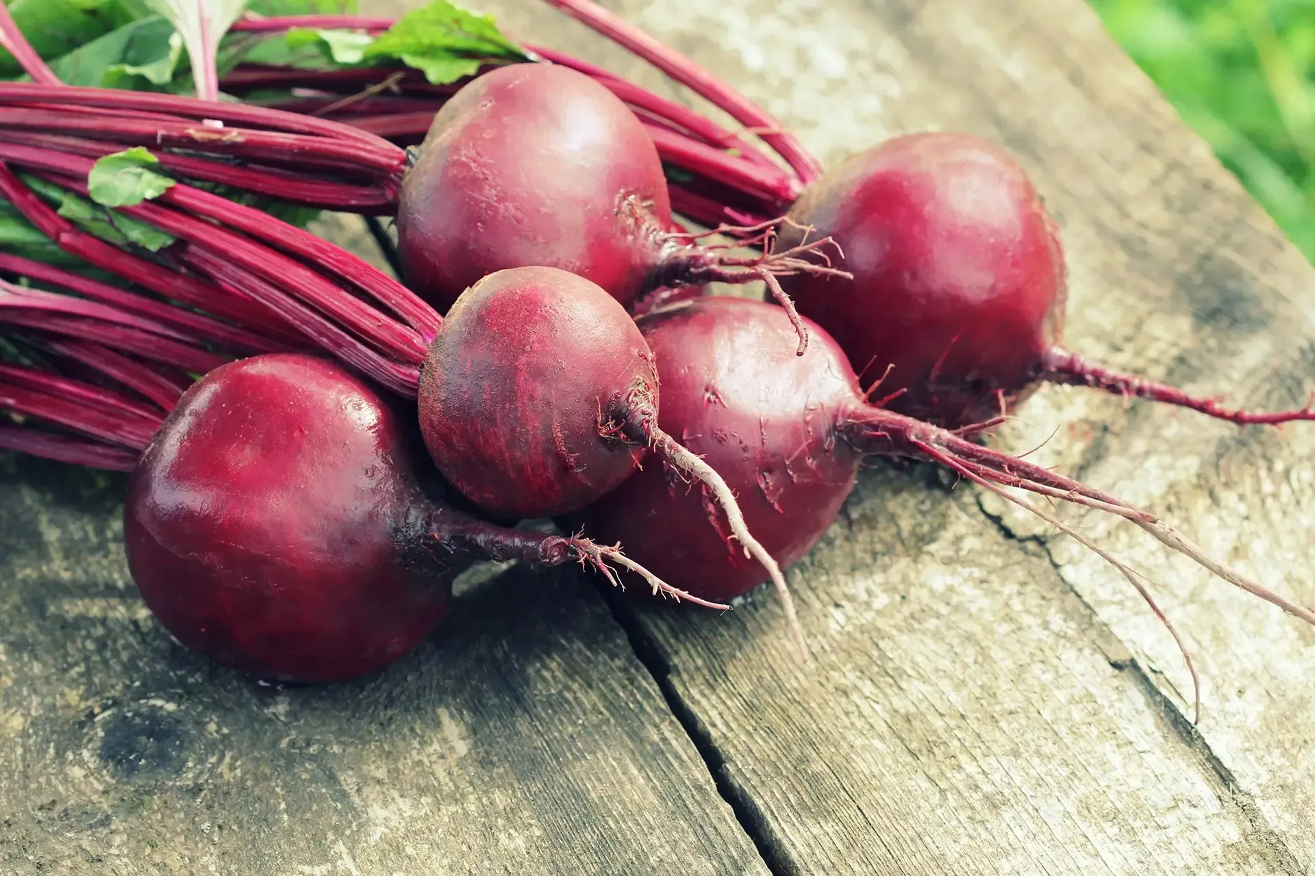 Beetroot Puree - Pet Food Ingredients - APAC Ingredients NZ