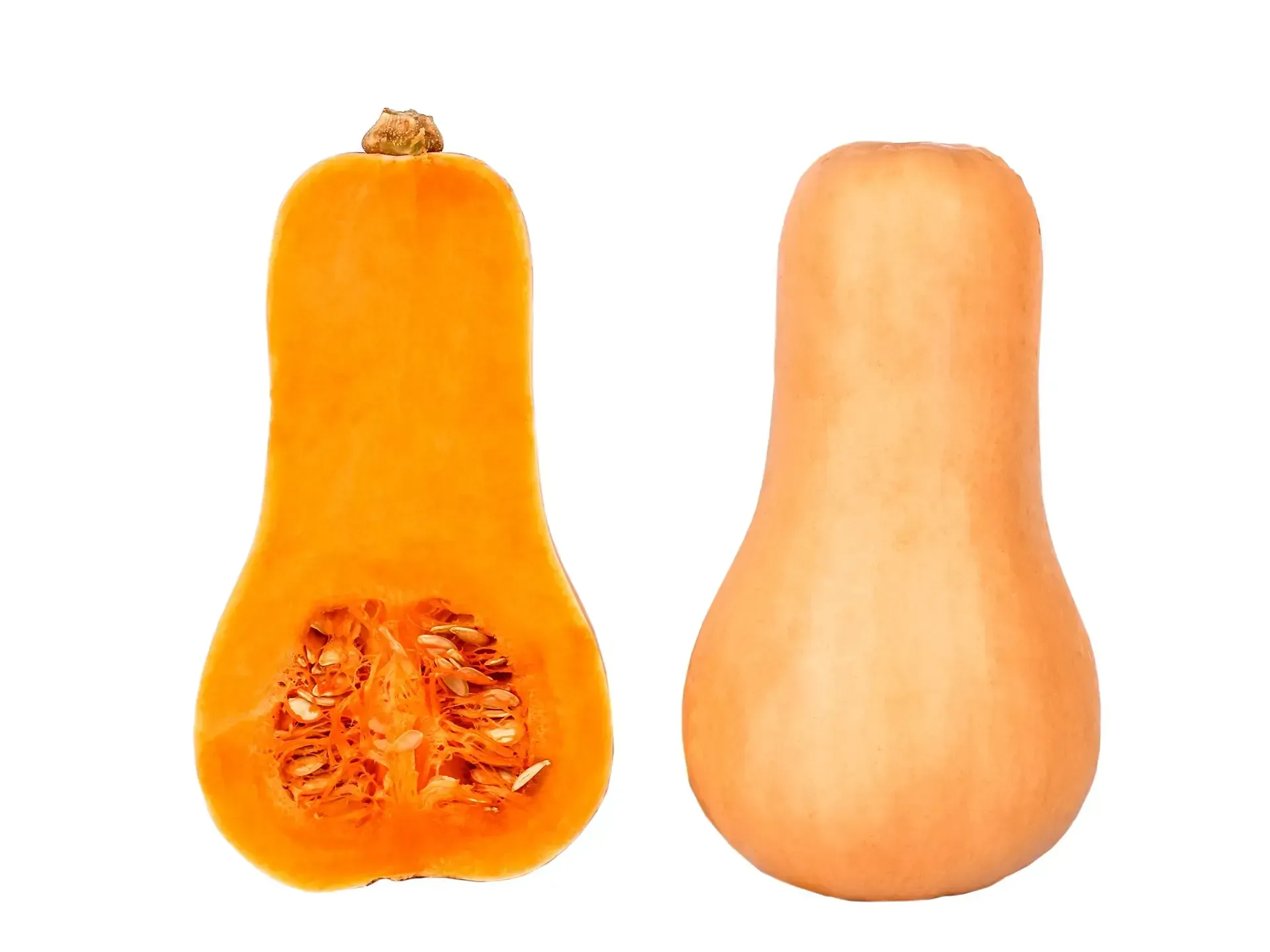 Butternut Pumpkin Puree - Pet Food Ingredients - APAC Ingredients NZ