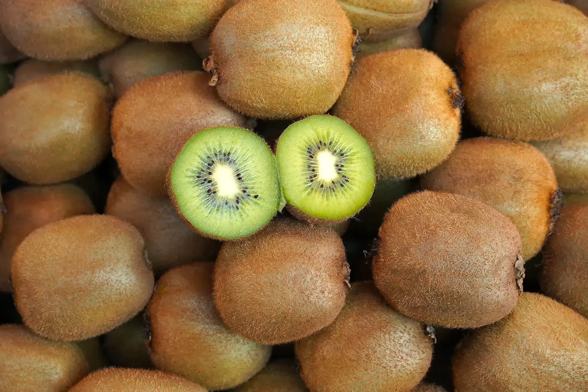 Kiwifruit Powder - Pet Food Ingredients - APAC Ingredients NZ