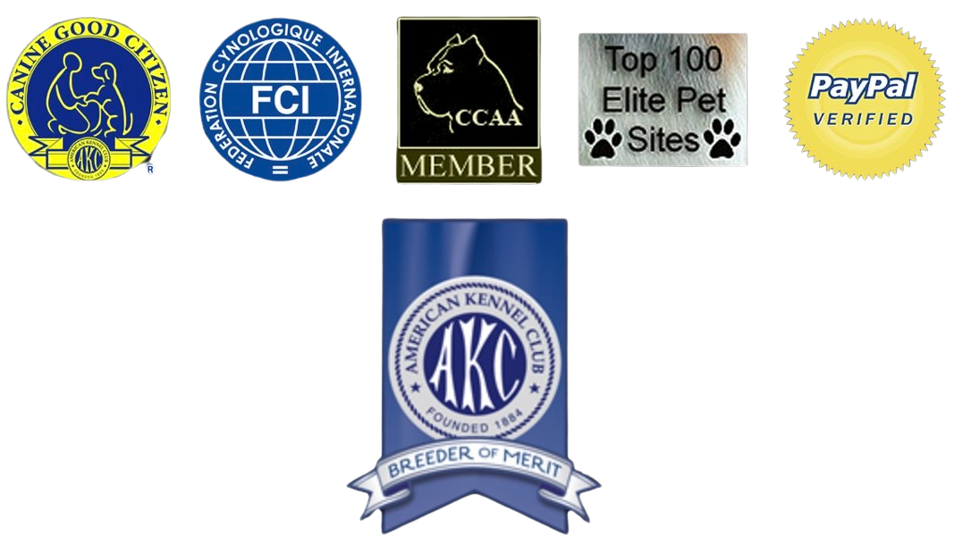 ramirez cane corso kennel logo